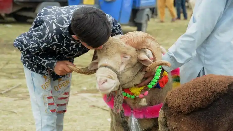 क़ुर्बानी का अज़ीम जज़्बा सिखाता है, ईद-उल-अज़हा