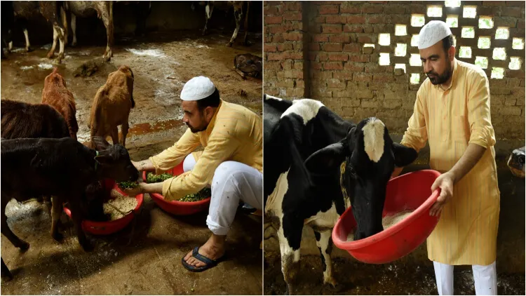 https://www.hindi.awazthevoice.in/upload/news/163050039310_Taking_cares_of_the_cows.webp