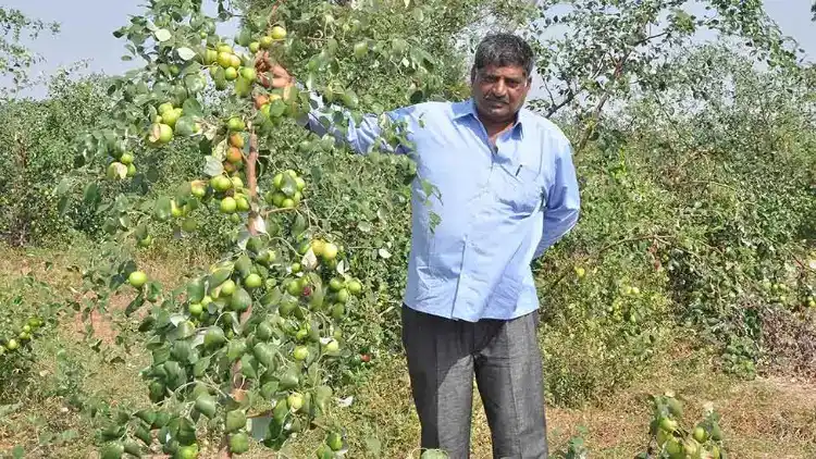https://www.hindi.awazthevoice.in/upload/news/163190041308_Gantaka_Krishna_Reddy_from_Karnataka_showing_off_his_apple_crop_4.webp