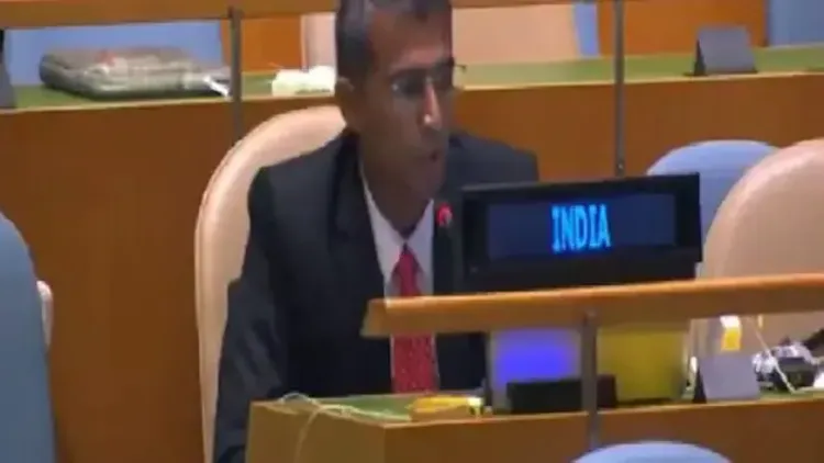 यूएन में ओसामा बिन लादेन के मुद्दे पर भारत ने पाकिस्तान को लिया आड़े हाथ