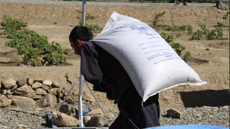 अफगान मजदूरों को पैसे के बदले गेहूं देगा तालिबान