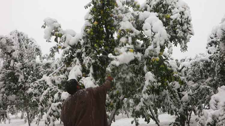 इंटेल एजेंसियांः कश्मीर में भारी बर्फबारी से पहले आतंकी करेंगे घुसपैठ