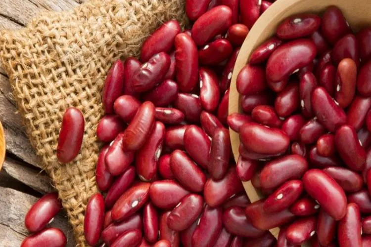  लाल बीन्स जरूर खाएं 