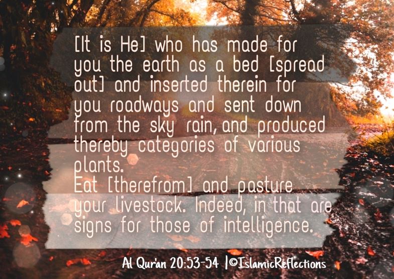 quran