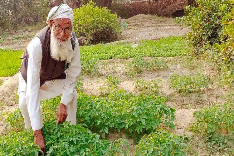 किसान दिवस: 73 वर्ष हाजी अली मोहम्मद को नरेंद्र मोदी ने क्यों किया था सम्मानित, जानें