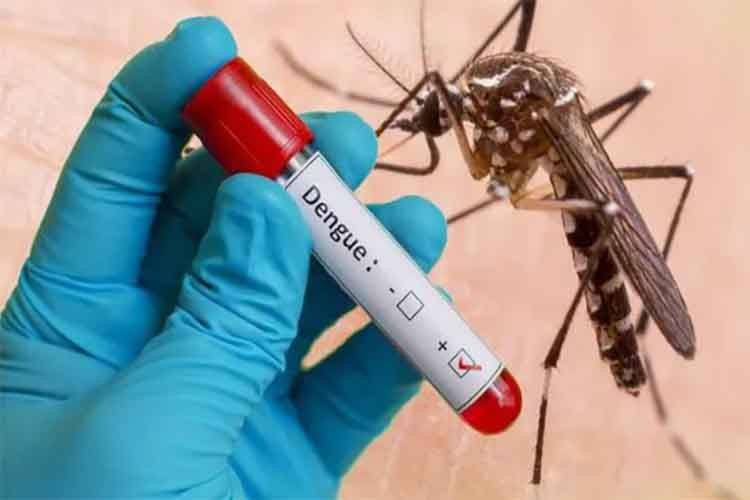 दिल्ली में डेंगू का प्रकोप, 23 की मौत, 9500 केस सामने आए 