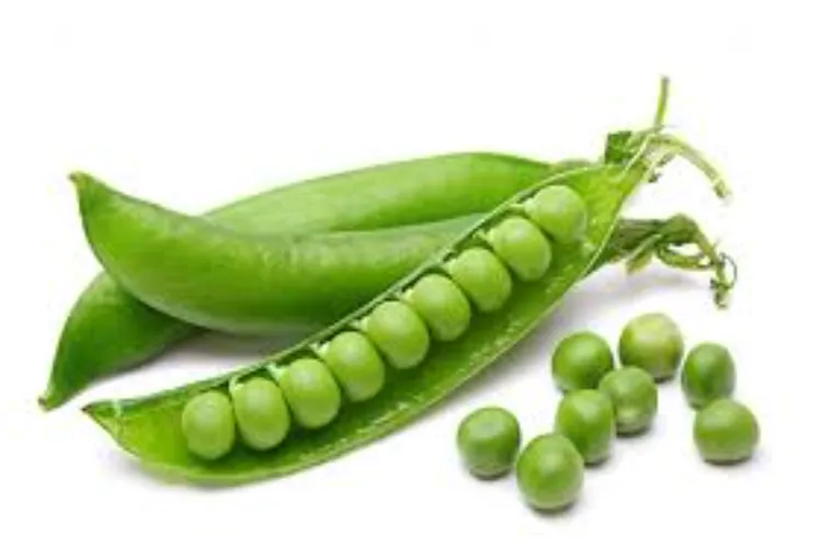 मटर 