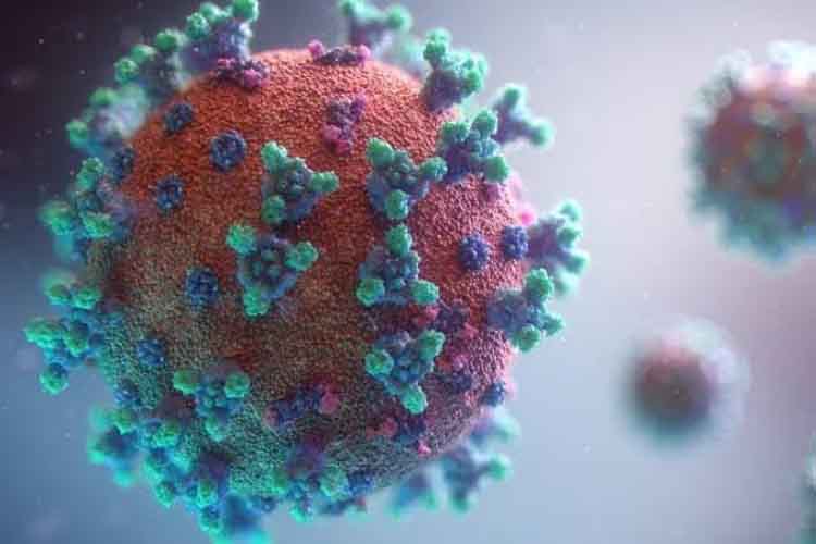 अगली सदी तक ख़त्म नहीं होगा कोरोना वायरस: महामारी विशेषज्ञ