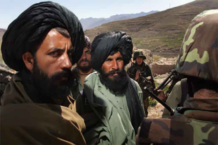 ट्विटर तहरीक ए तालिबान इंडिया का अकाउंट बंद करे: भारत 