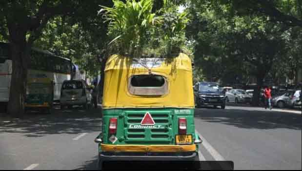 https://www.hindi.awazthevoice.in/upload/news/165166535916_Garden_on_the_roof_of_auto_rickshaw_giving_comfort_to_Delhiites_in_summer_3.jpg