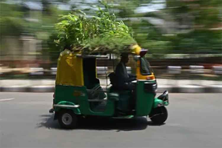 ऑटो रिक्शा की छत पर गार्डनः दिल्लीवालों को गर्मी में दे रहा सुकून