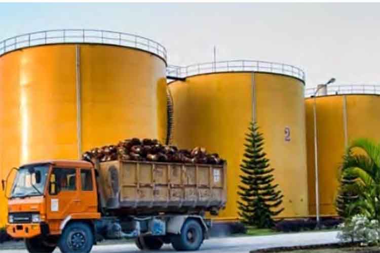 इंडोनेशिया सोमवार से पाम तेल निर्यात पर प्रतिबंध हटाएगा