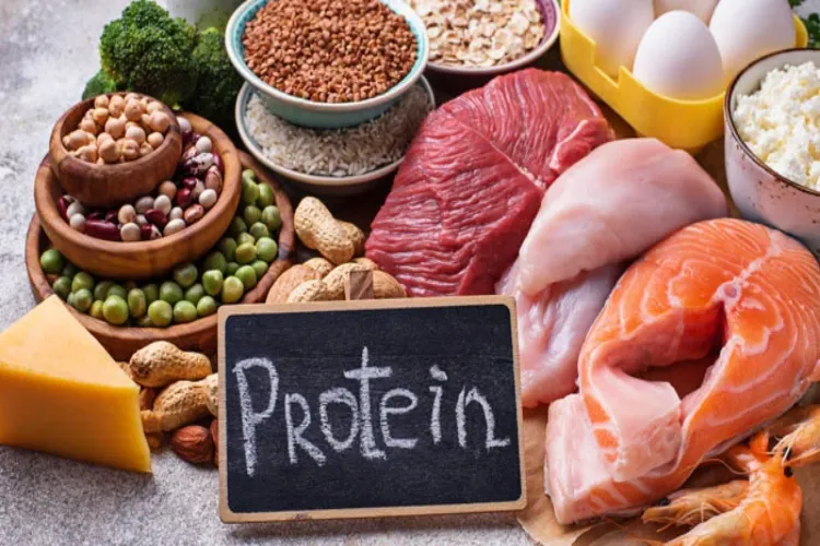 पने दैनिक आहार में प्रोटीन को करें शामिल 