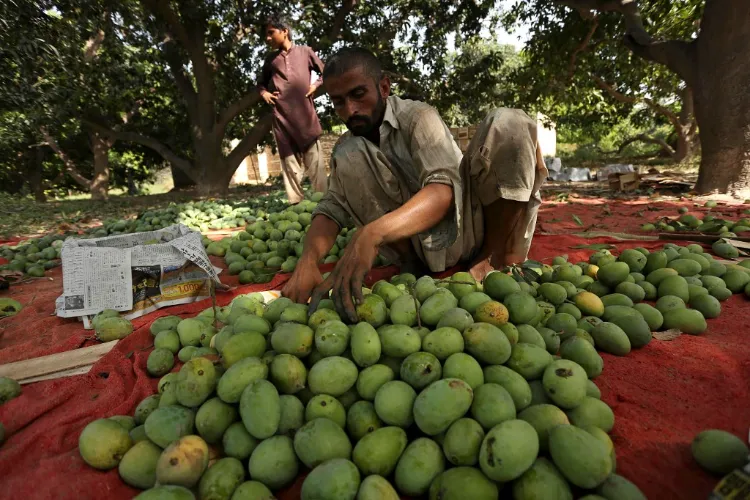 इमरान खान की कारगुजारियों से पाकिस्तान के आम व्यापारी और किसान परेशान
