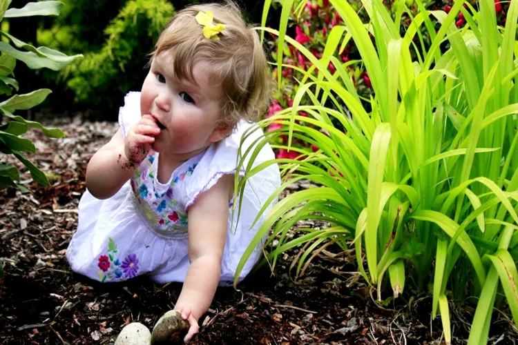 क्या बच्चों का मिट्टी खाना खतरनाक है?
