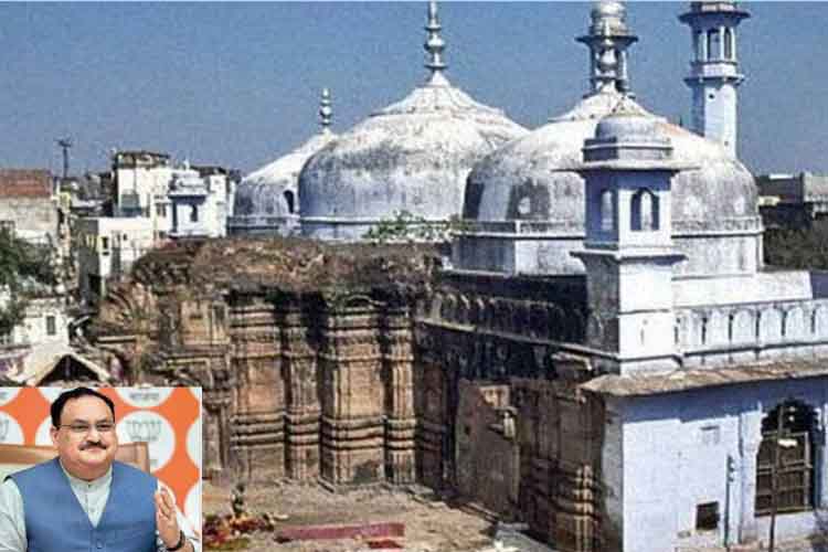 ज्ञानवापी मस्जिद केस में अदालती फैसले का भाजपा अक्षरश: पालन करेगी - नड्डा