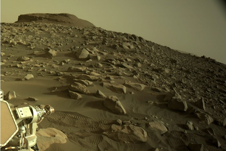 अप्रैल में मंगल ग्रह पर एक प्राचीन नदी डेल्टा के तली पर उतरा था रोवर पर्सवेरेंस (फोटो क्रेडिट: नासा/जेपीएल-कैल्टेक)
