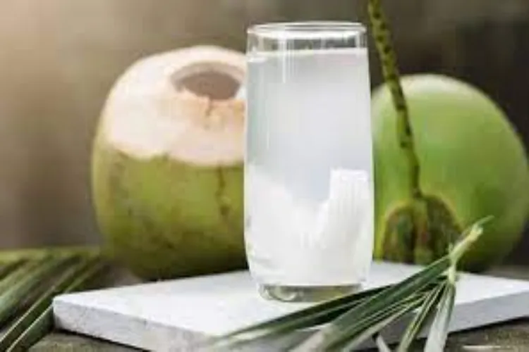 पूरे साल नारियल पानी पीना क्यों जरूरी है?