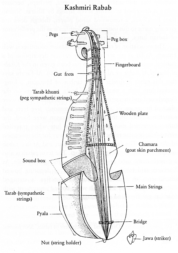 rabab