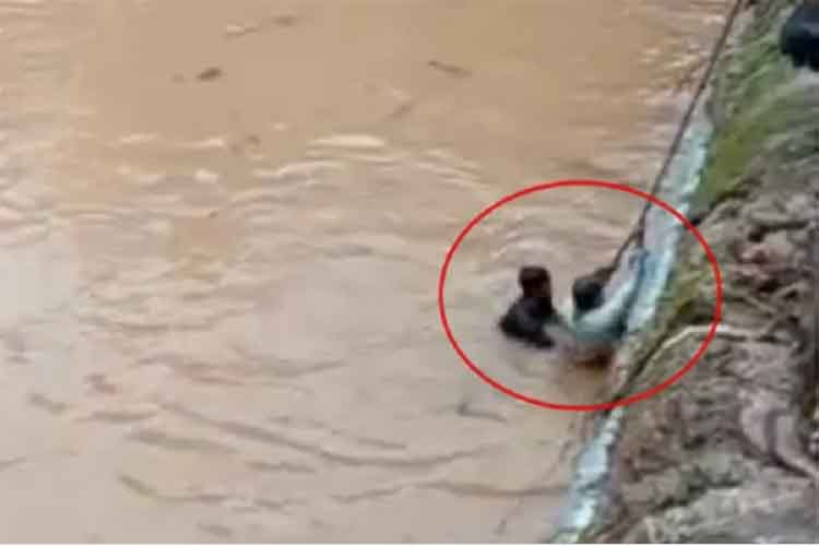दक्षिण कन्नड़ः बाढ़ में डूब रहे शरीफ को शेखर ने बचाया 