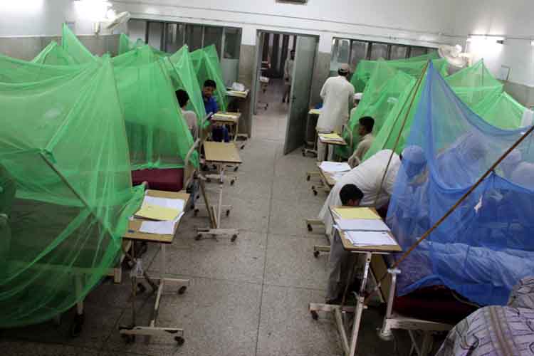 डेंगू के प्रकोप के बीच पाकिस्तान में बुखार की दवाओं की कमी