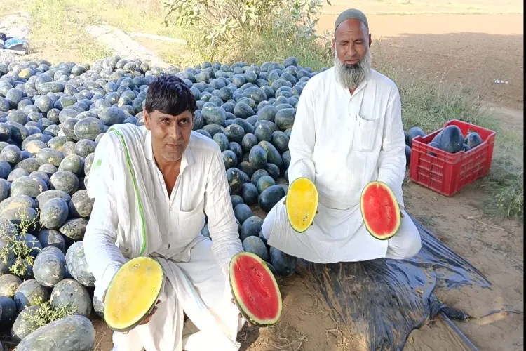 खास खबर: सर्दियों में मेवाती लाल-पीला तरबूज का कमाल, दिल्ली-एनसीआर में मचा रहा धमाल