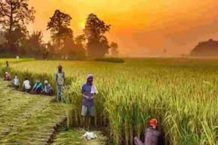 100 किसानों को दिया जाएगा इजराइल में प्रशिक्षण