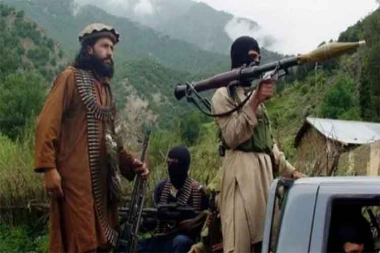 पाकिस्तान टीटीपी को निरस्त्र करने का खर्च वहन करे: अफगान तालिबान