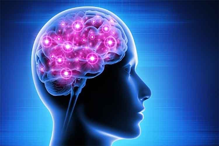 यूएस एफडीए ने मानव मस्तिष्क में चिप लगाने की मस्क के न्यूरालिंक की बोली को खारिज किया