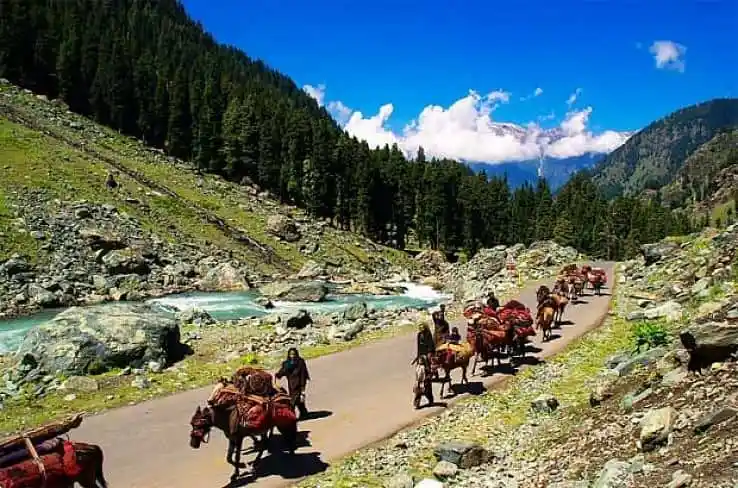 kashmir