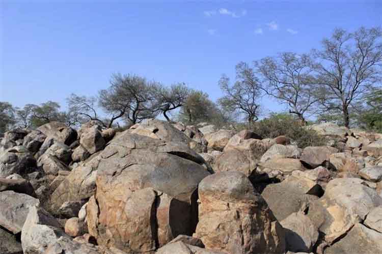 ज्यादातर भारतीयों को है ग्लोबल वॉर्मिग की चिंता : रिपोर्ट