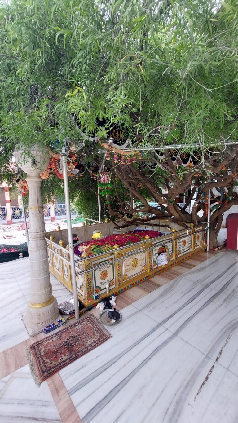 https://www.hindi.awazthevoice.in/upload/news/168535229001_Hazrat_Khwaja_Hameeduddin_Nagauri_Symbol_of_composite_culture,_used_to_serve_vegetarian_food_to_devotees_2.jpg