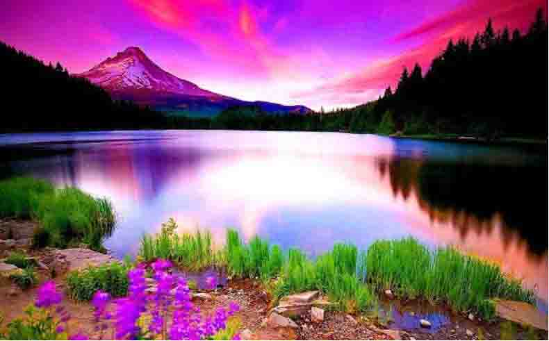 https://www.hindi.awazthevoice.in/upload/news/168589315912_Environmental_Protection_in_Indian_Culture_2.jpg