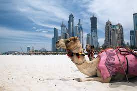 uae