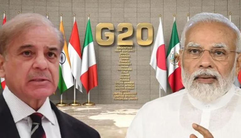 G20 summit in Pakistani media: Khisayani cat Khamba noche