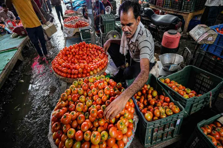 Tomato becomes victim of sharp recession, government will take steps