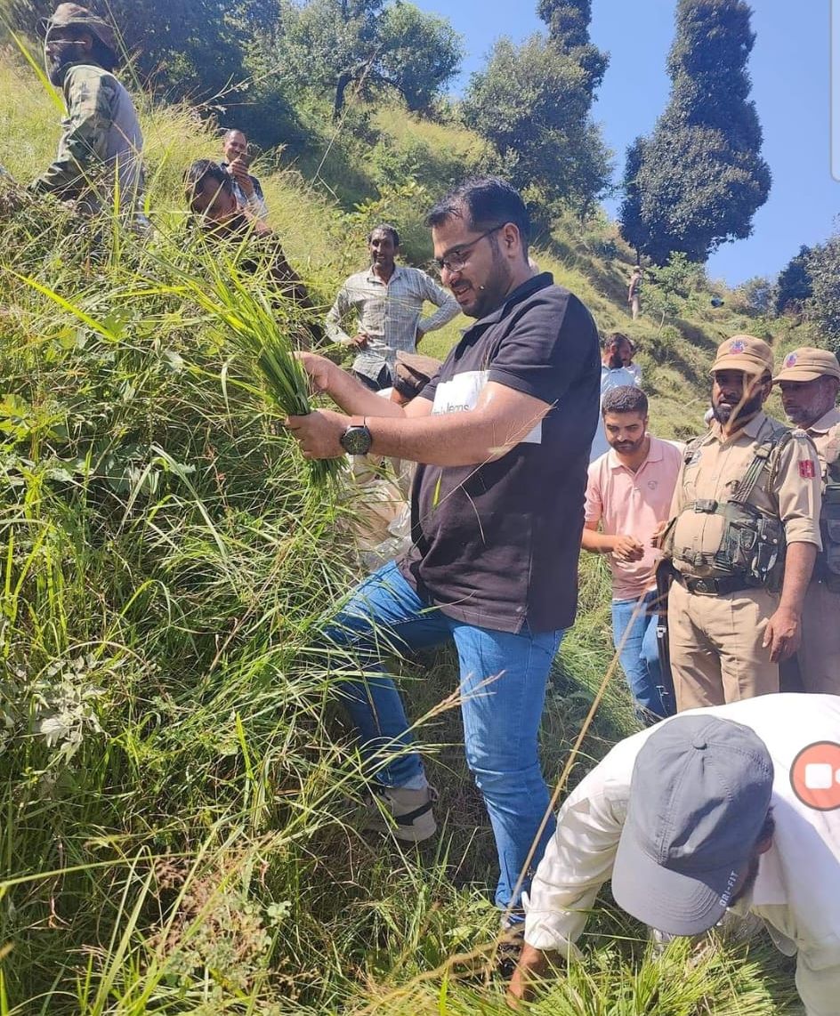 panjal