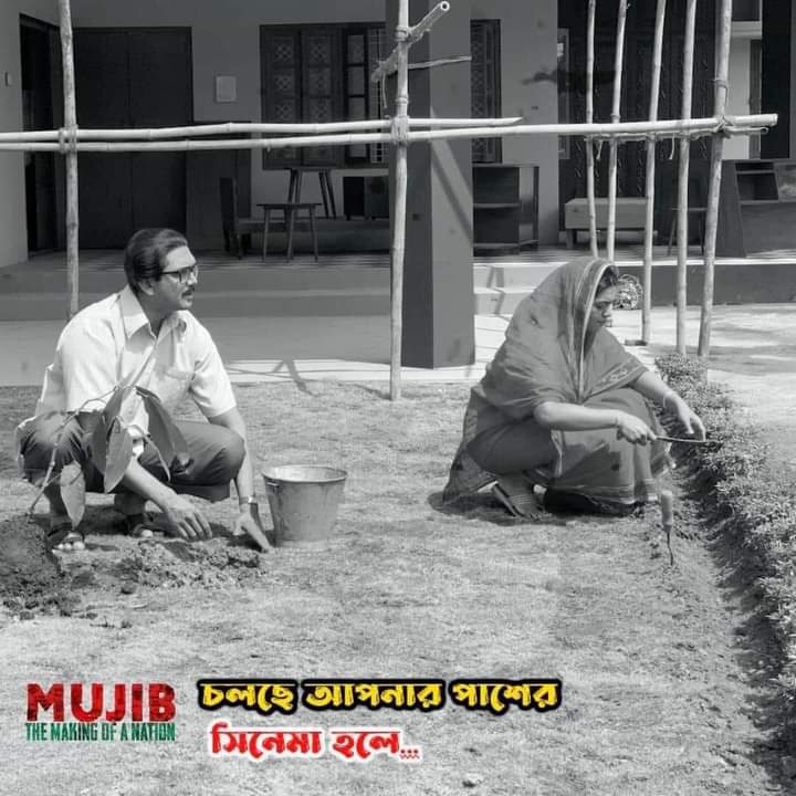 mujib scene 