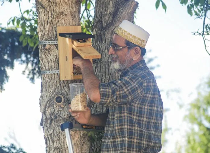 vohra