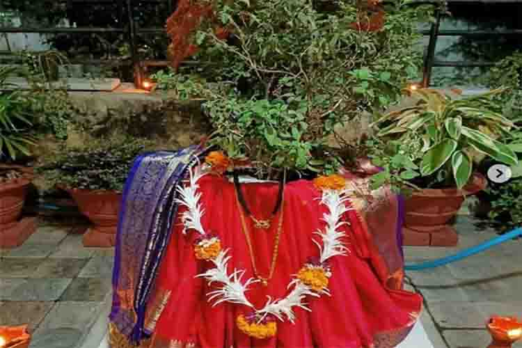 Tulsi Vivah