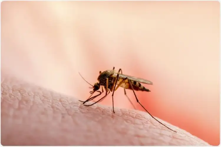 Can soap help fight mosquitoes that spread malaria?