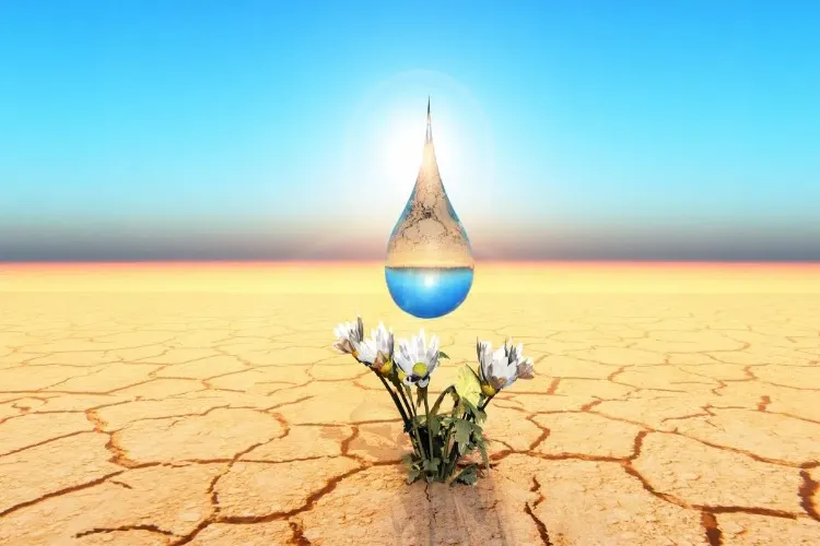 Concept of life in Islam?