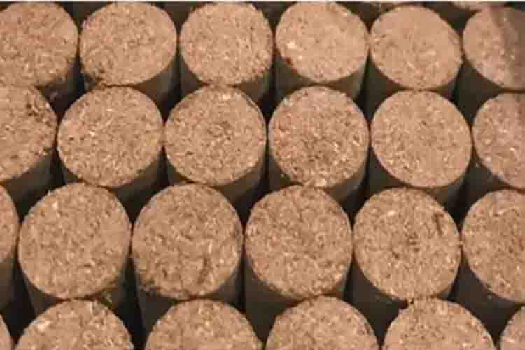  Indian cow dung  