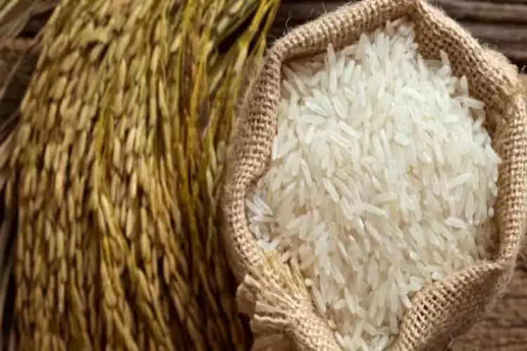 India allows export of selected varieties of rice to Tanzania, Djibouti, Guinea Bissau