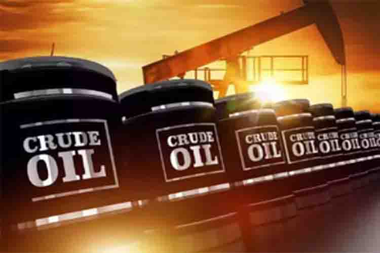 भारत ने ओपेक के साथ बातचीत में तेल की स्थिर कीमतों की आवश्यकता पर दिया जोर