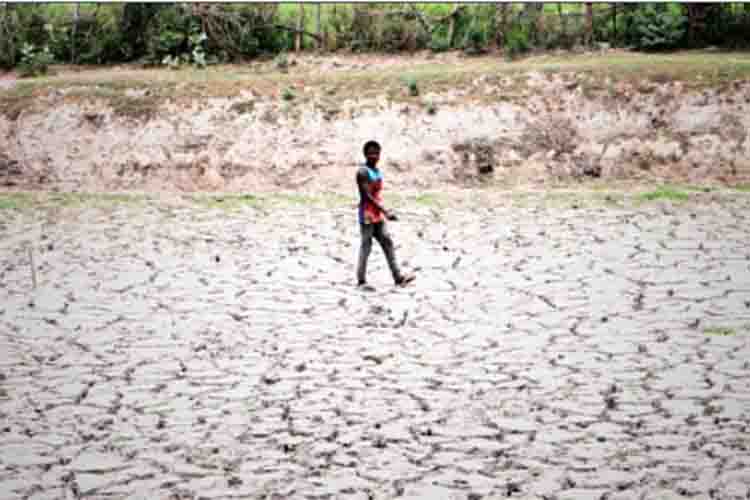 Only 55 percent water in the reservoirs of drought affected districts of Tamil Nadu, this advice given to farmers