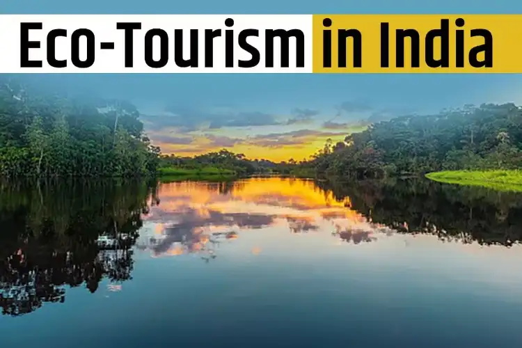 India has the opportunity to lead the world in eco-tourism: Experts