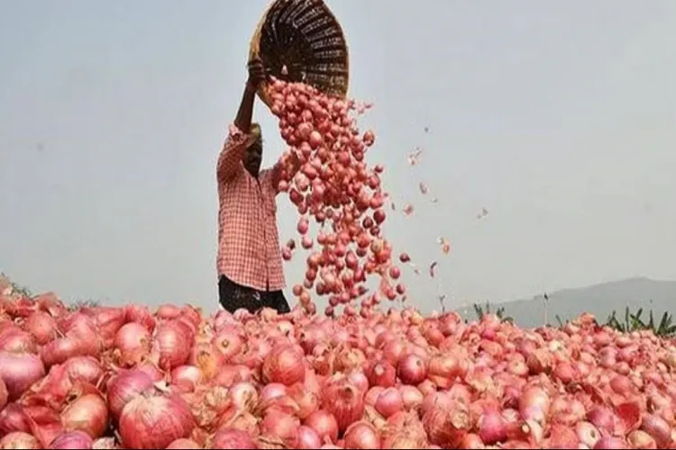 Permission to export 99,150 tonnes of onion to six countries