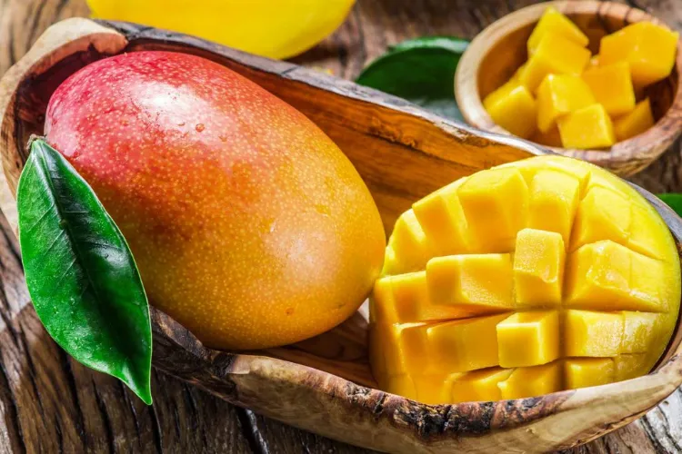 Alphonso mango season to end early due to environmental changes
