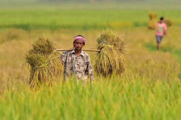 Higher than normal southwest monsoon brings hope for India's agriculture sector: Geojit report